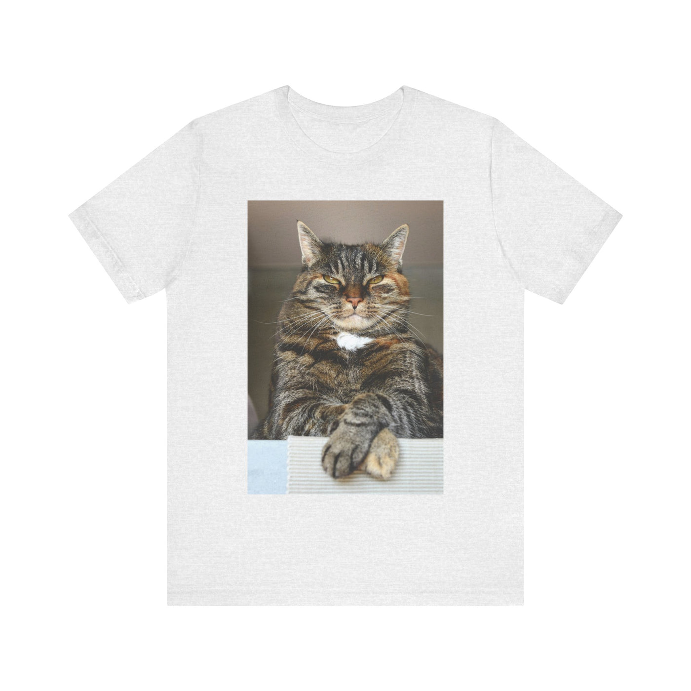 Brown Cat looks at you - Unisex Jersey Short Sleeve Tee