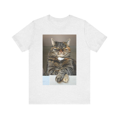 Brown Cat looks at you - Unisex Jersey Short Sleeve Tee