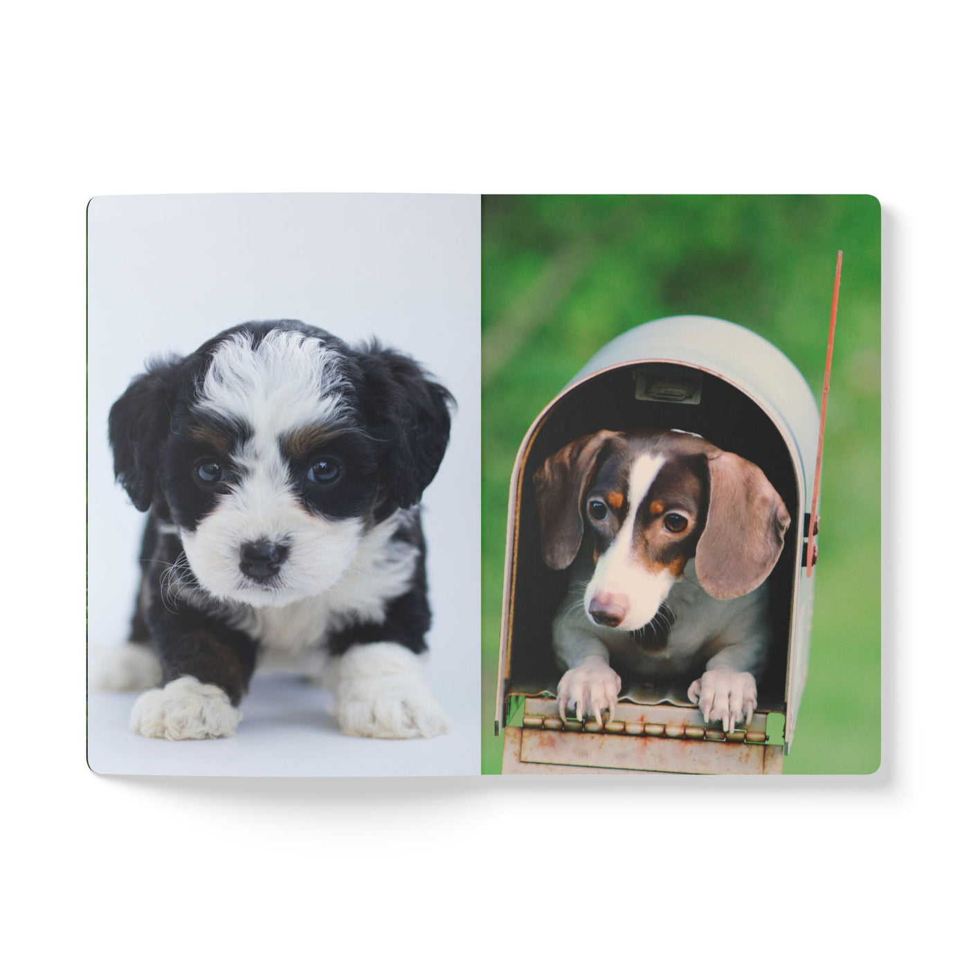 Adorable Dogs Softcover Journal - Perfect for Pet Lovers, Note-Taking, Journaling, Gifts, and Daily Reflection