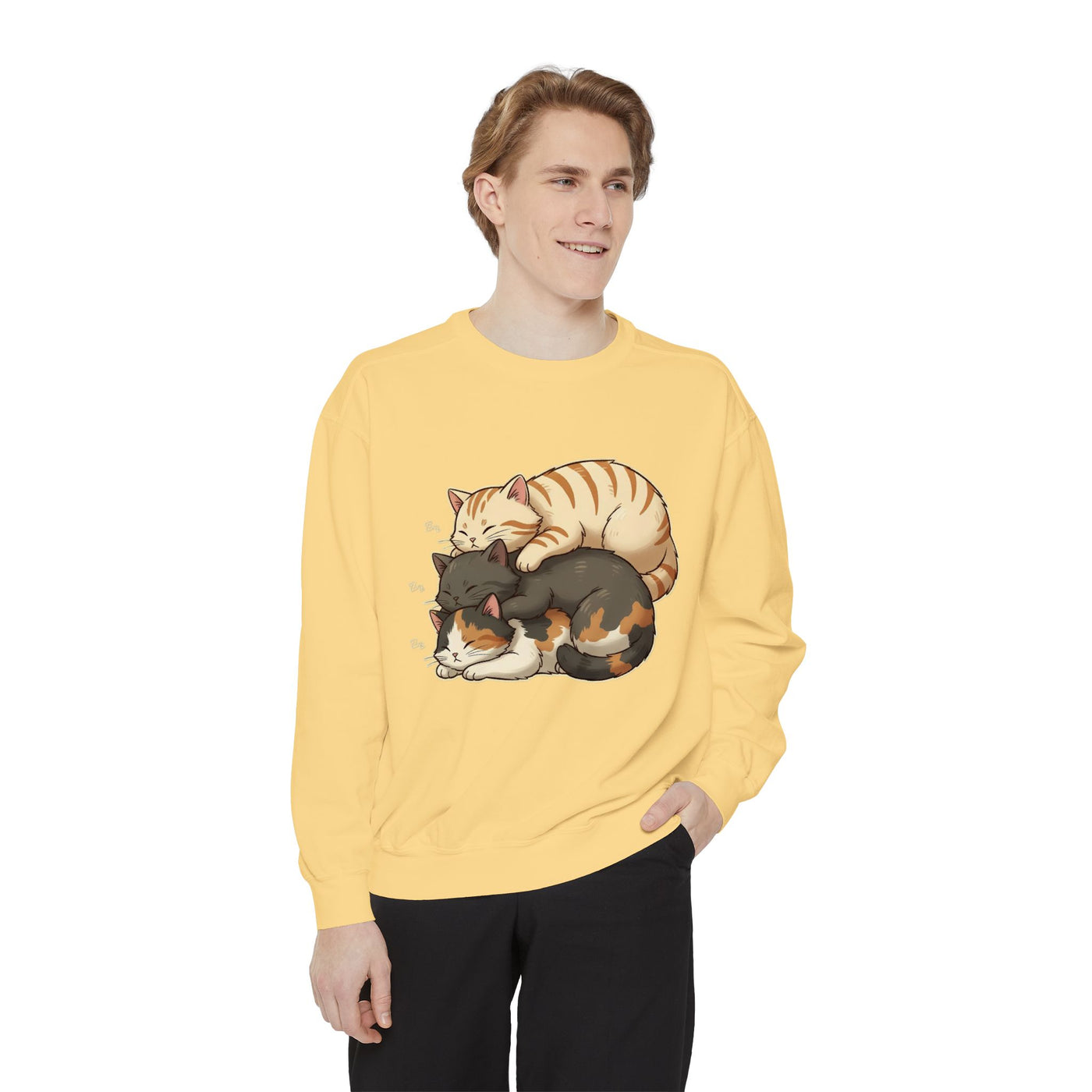 3 Cute Sleeping Cats style 4 Cozy Graphic Unisex Crewneck Sweatshirt