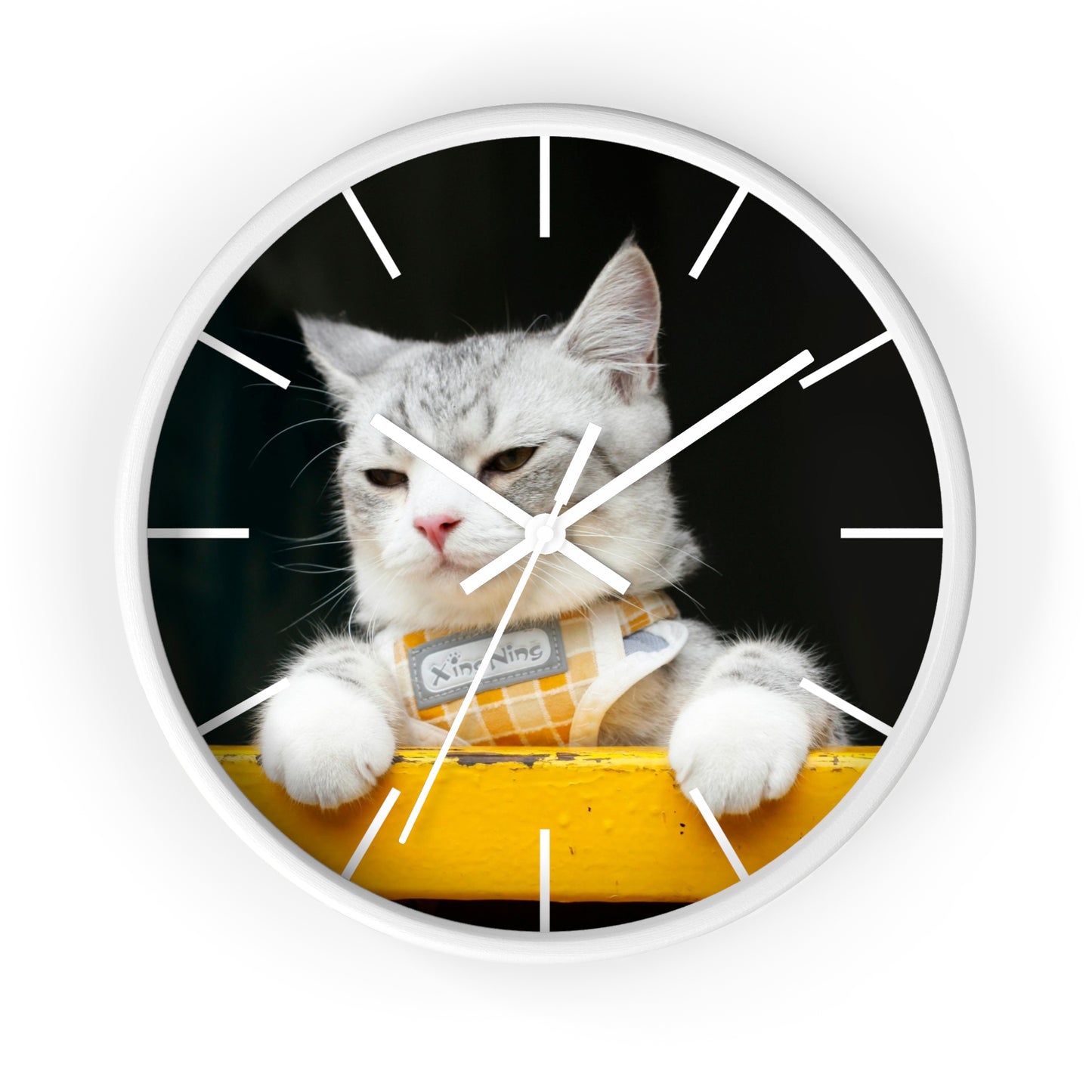 White Cat different colors Wall Clock