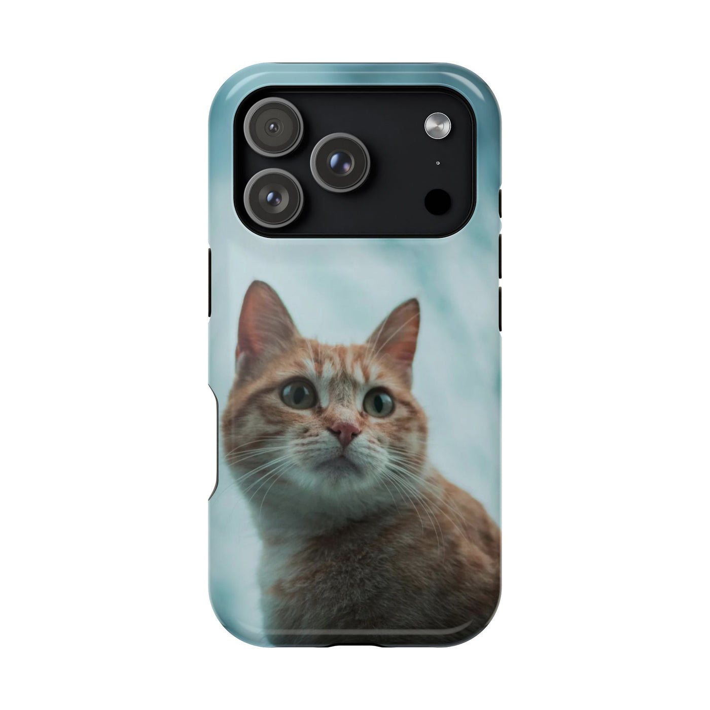 Cute Cat Magnetic Phone Case style 1 - Durable Pet Lover Gift, Impact-Resistant, Cat-Themed Accessories, Unique Pet Gifts, Birthday Gifts