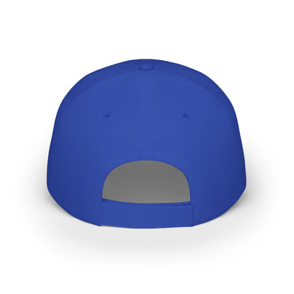 Where is my money Cute Dog Low Profile Cap Hat