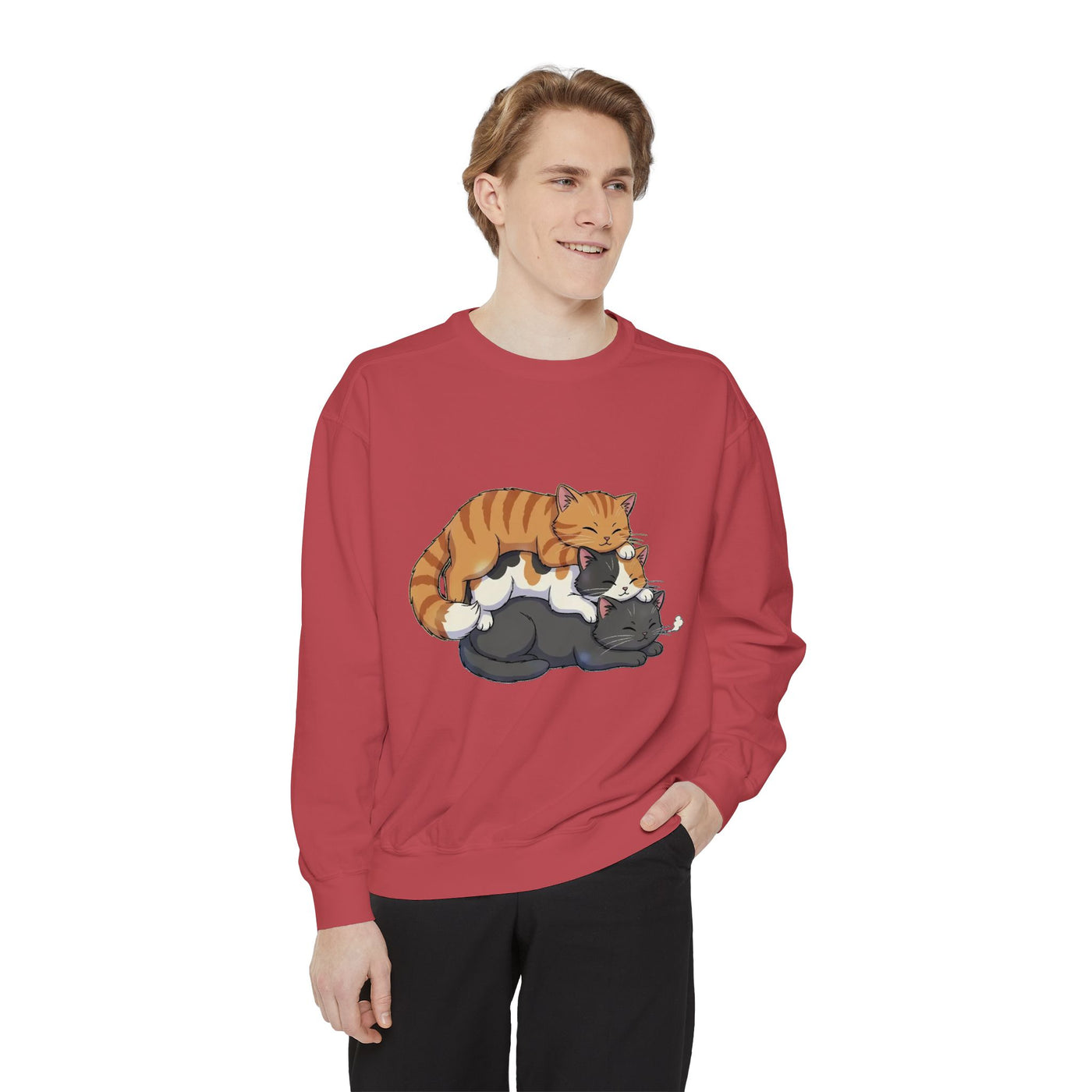 3 Cute Sleeping Cats style 6 Cozy Graphic Unisex Crewneck Sweatshirt