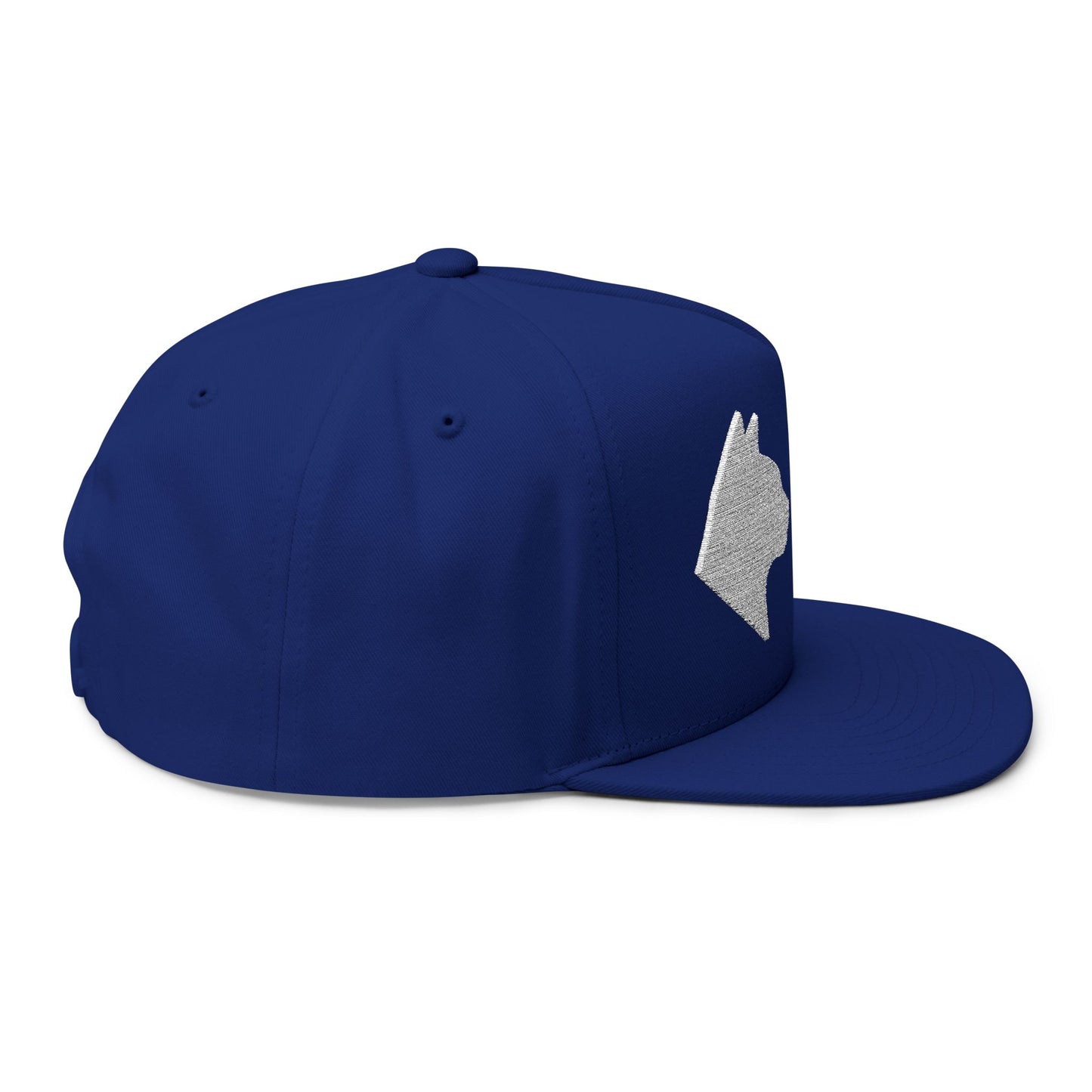 Stylish Embroidered Cat Mom Flat Bill Cap style 5