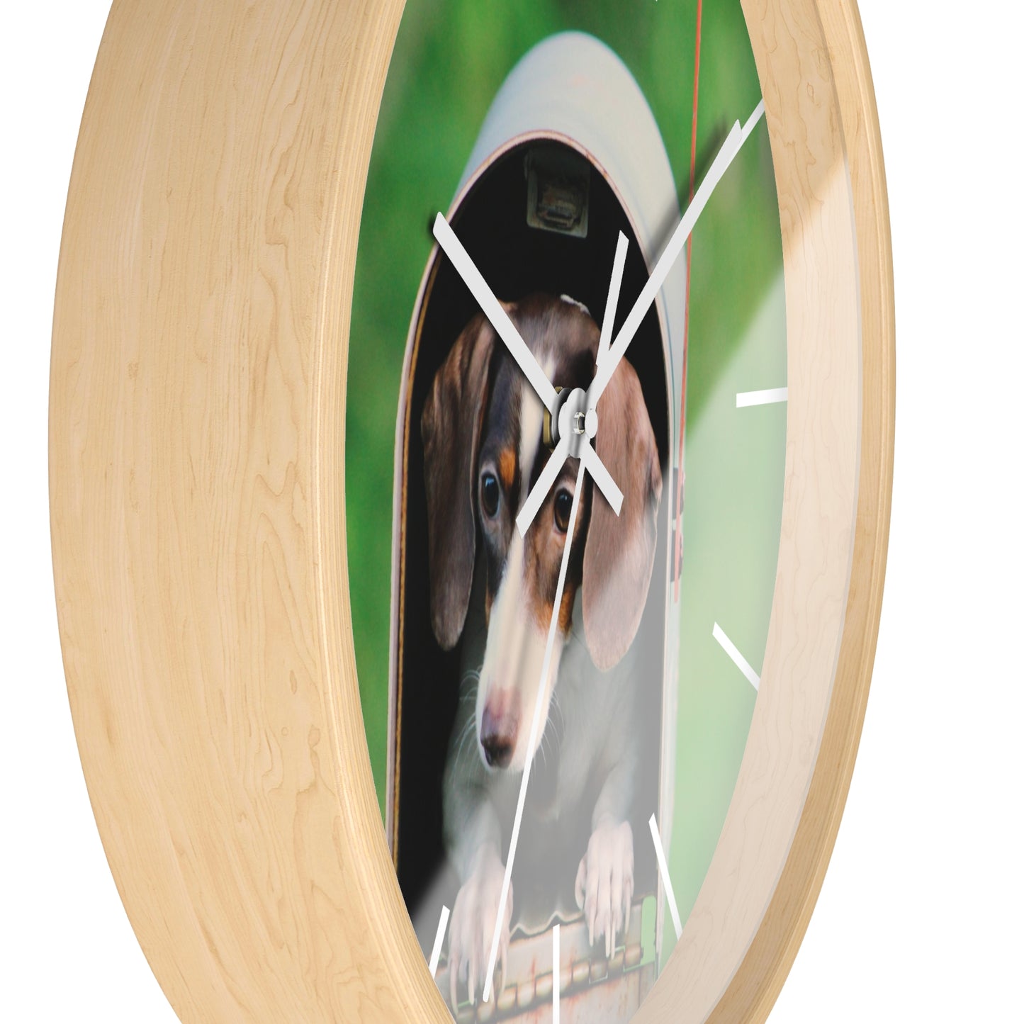 Dog in Post Box different colors Wall Clock