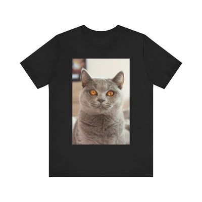 Grey Cat looks at you - Unisex Jersey Short Sleeve Tee