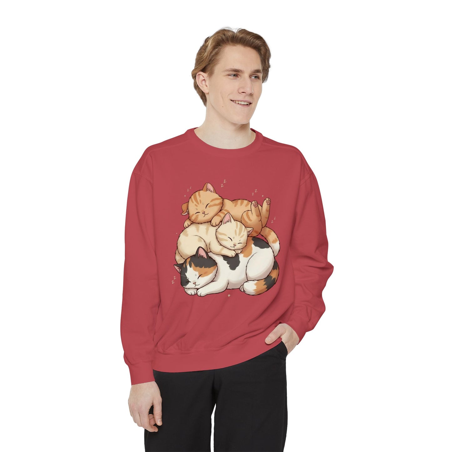 3 Cute Sleeping Cats Cozy Graphic Unisex Crewneck Sweatshirt style 1