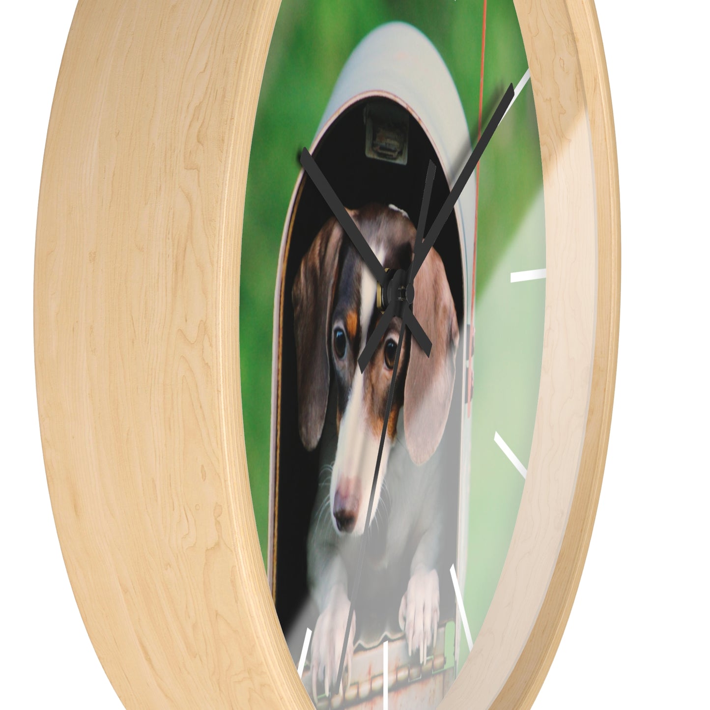 Dog in Post Box different colors Wall Clock