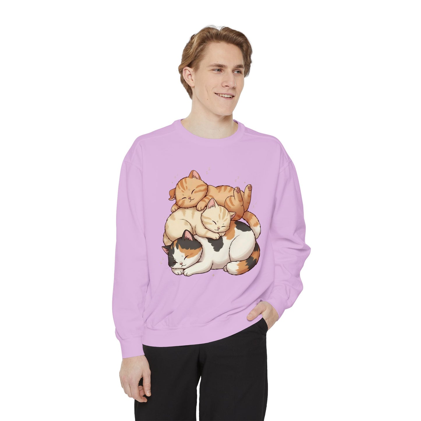 3 Cute Sleeping Cats Cozy Graphic Unisex Crewneck Sweatshirt style 1