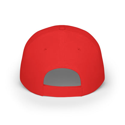 Where is my money Cute Dog Low Profile Cap Hat