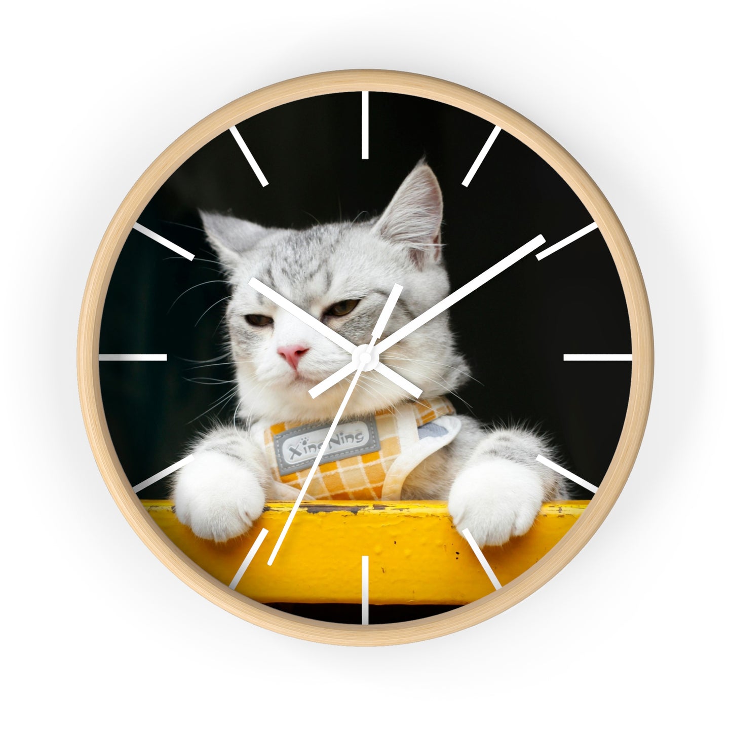 White Cat different colors Wall Clock
