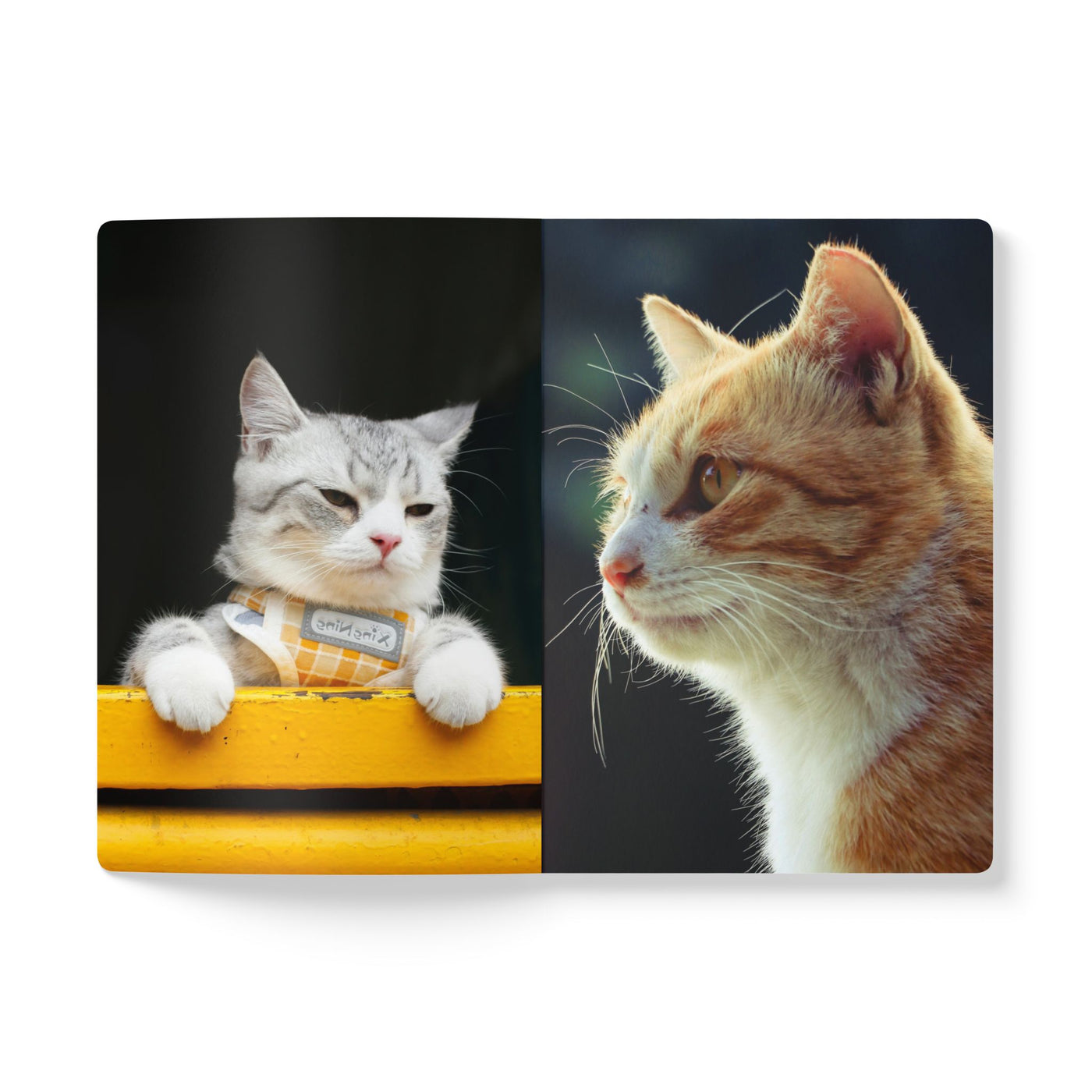 Cozy Cat Softcover Journal - Perfect for Nature Lovers, Gift for Pet Owners, Journal for Writing, Cute Cat Lover Notebook