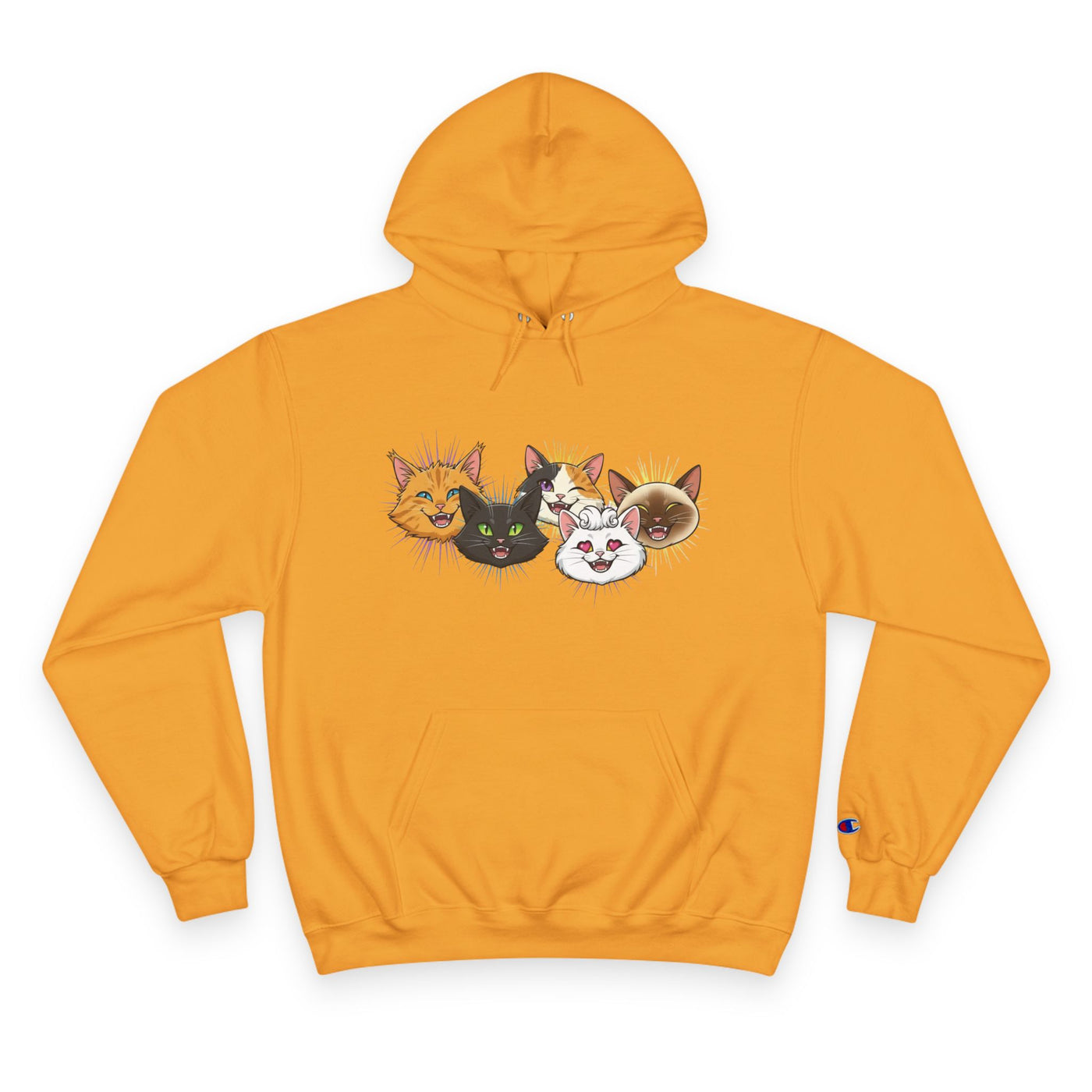 Playful Cat Champion Unisex Hoodie | Cozy Cat Lover Pullover, Pet Themed Gift, Cute Animal Apparel, Perfect for Cat Days