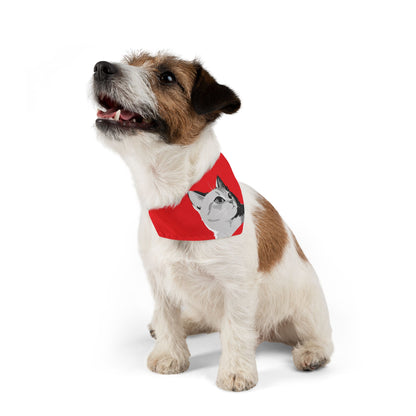 Cat head Bandana Collar Cats and Dogs Accessory Red