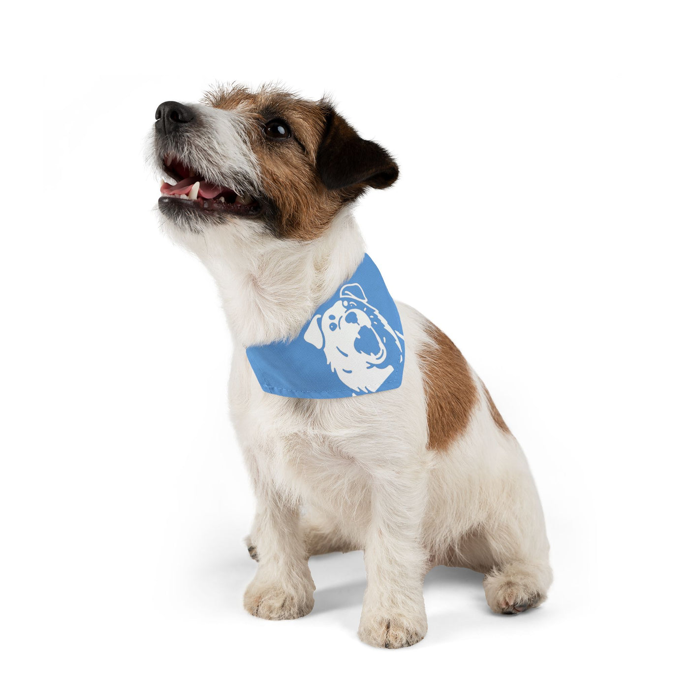 Blue Dog Bandana Collar – Dog Accessory, Great for Playtime, Pet Parties, Dog Walks, Halloween Costumes, and Summer Fun