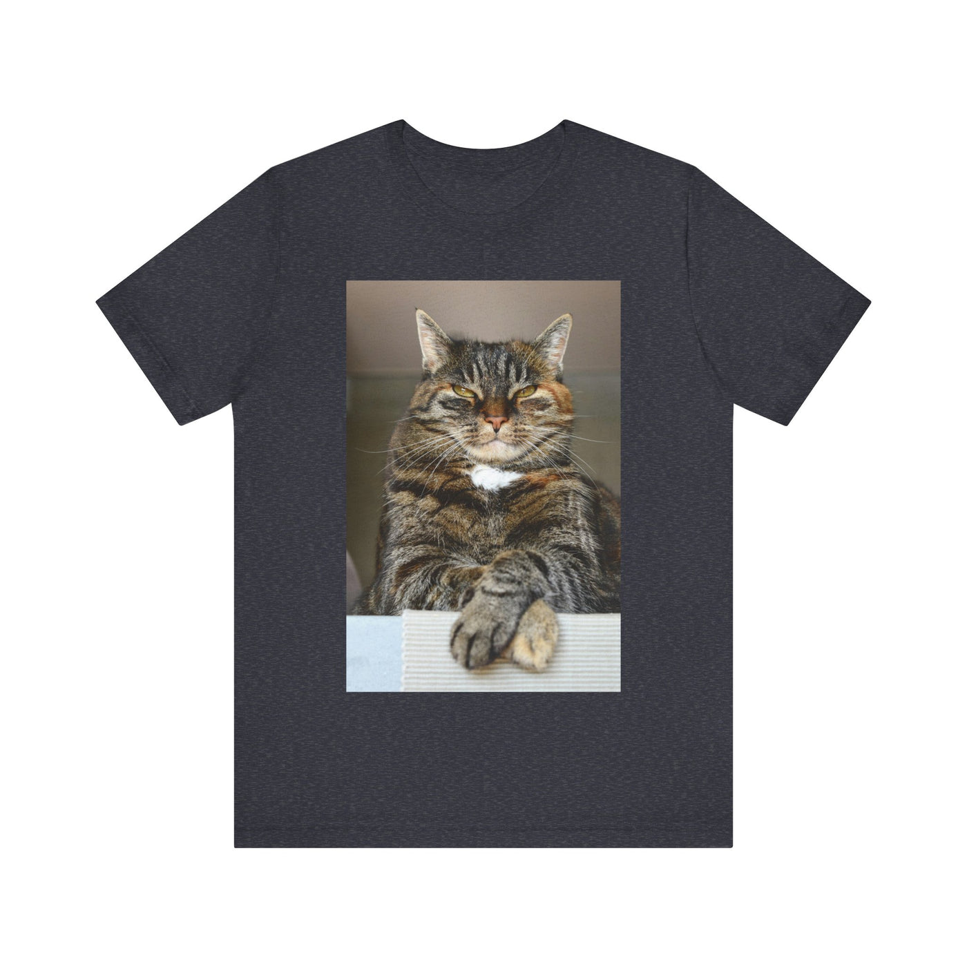 Brown Cat looks at you - Unisex Jersey Short Sleeve Tee