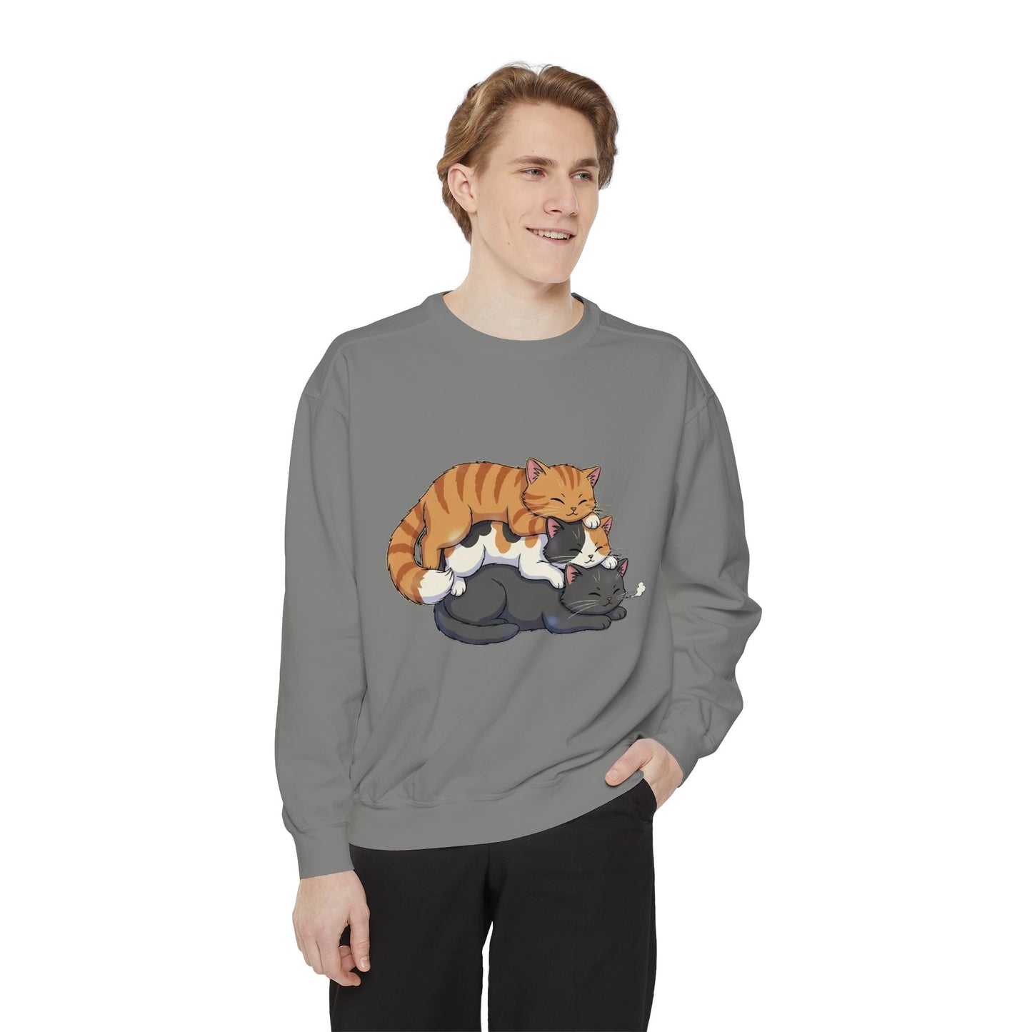 3 Cute Sleeping Cats Cozy Graphic Unisex Crewneck Sweatshirt style 6